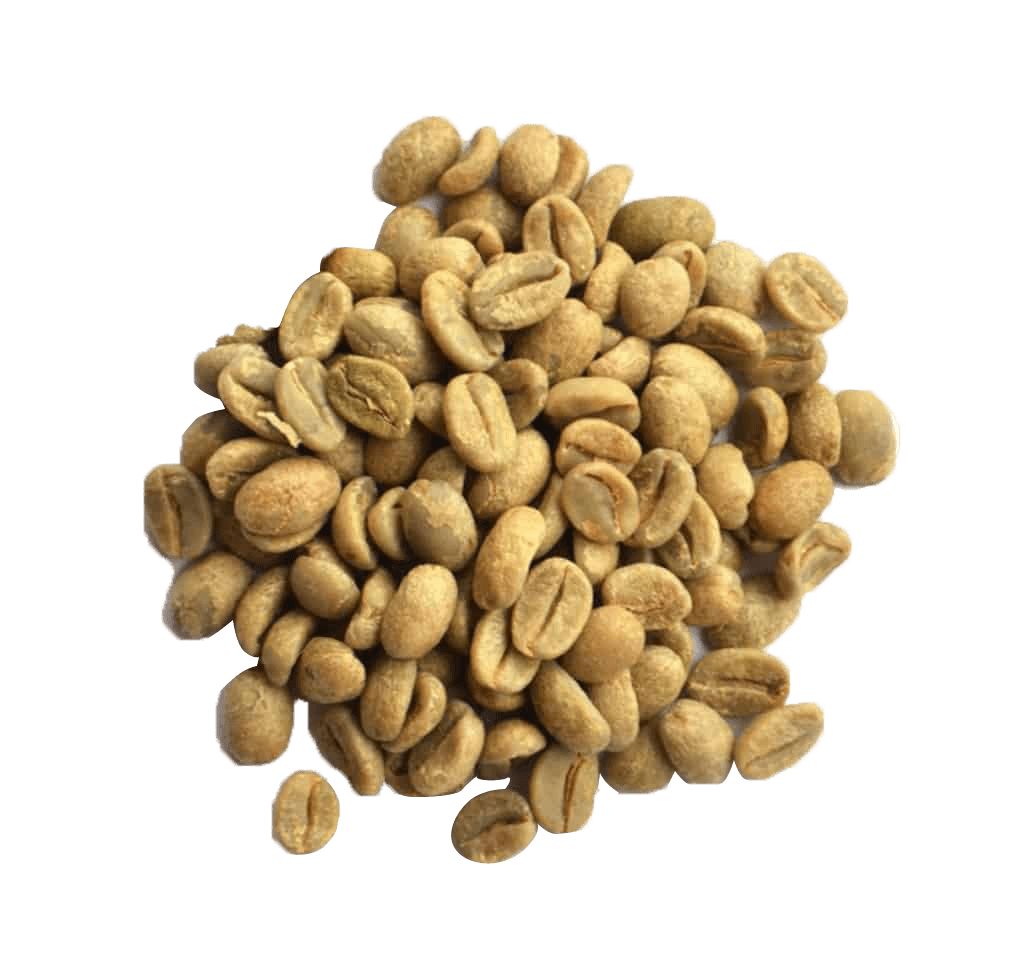 Roast at Home Unroasted Brazil Fazenda Lagoa green coffee beans displayed in a cluster on white background, showing natural tan color and distinct coffee bean shape with characteristic center split, ready for home roasting.